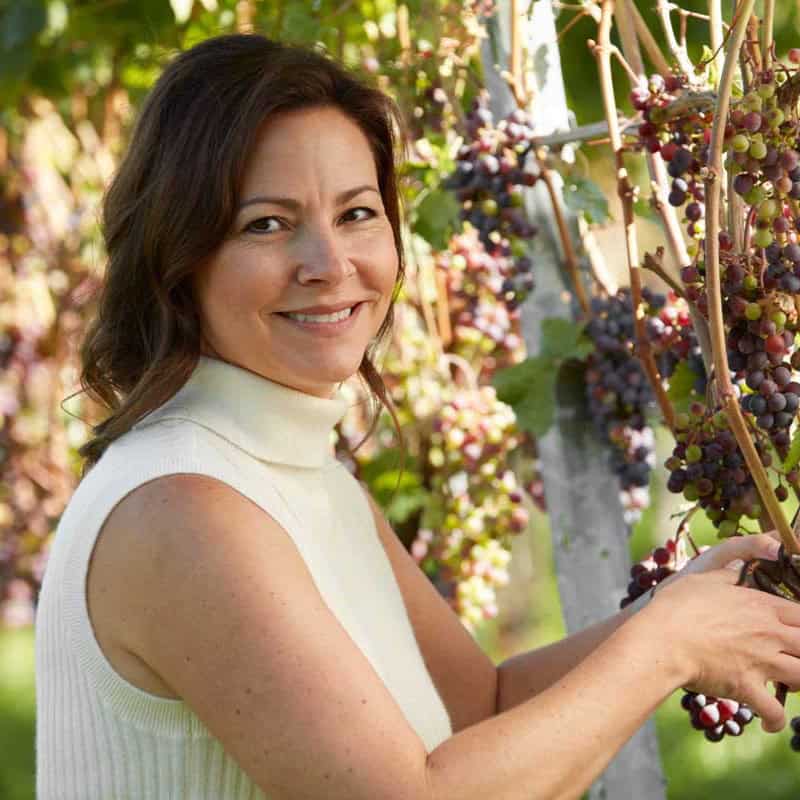 Melissa in the vineyard trimming a grape cluster